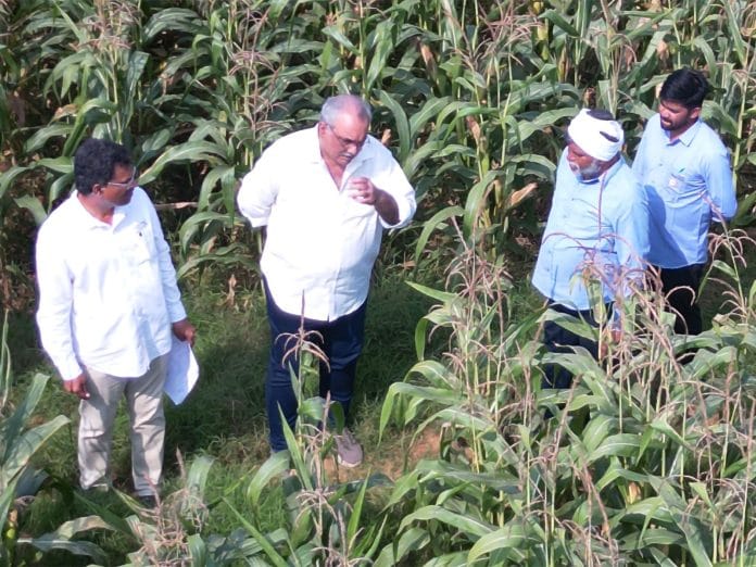 ICAR-IIMR and Gourmet Popcornica Collaboration Paves the Way for an Aatmanirbhar Popcorn Maize Ecosystem