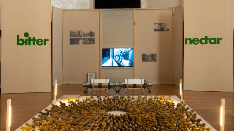 From the lions in Gujarat’s Gir to Ladakh’s apricots, an interlay of art and climate action