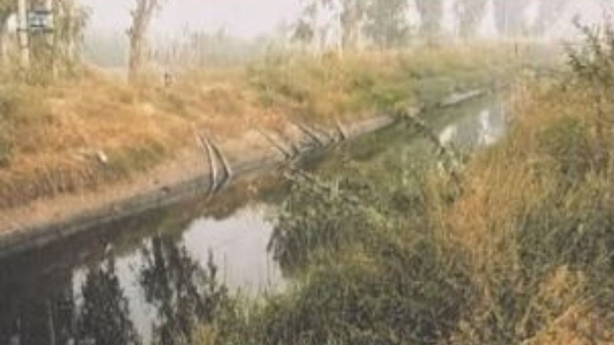 हरियाणा के छैनसा गांव में जमा गंदा पानी | फोटो: रमेश्वर सिंह