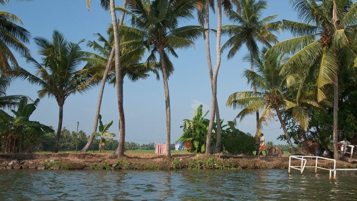 Representative Image | Kerala backwaters | Commons