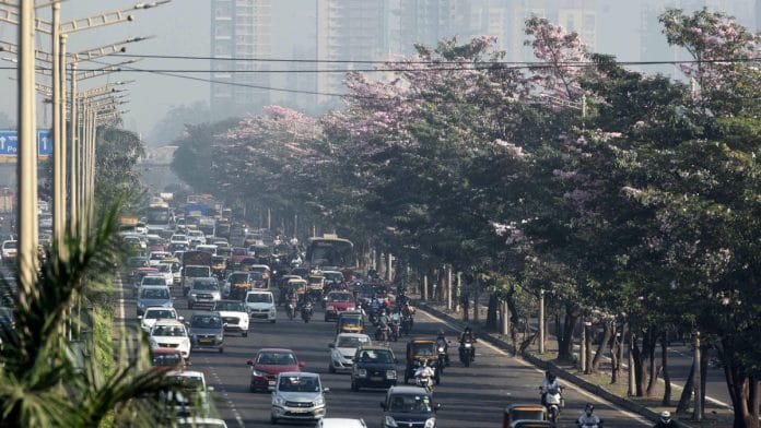 Pink trumpet trees burst into bloom along Eastern Express Highway gives Mumbai a seasonal identity | ANI file photo