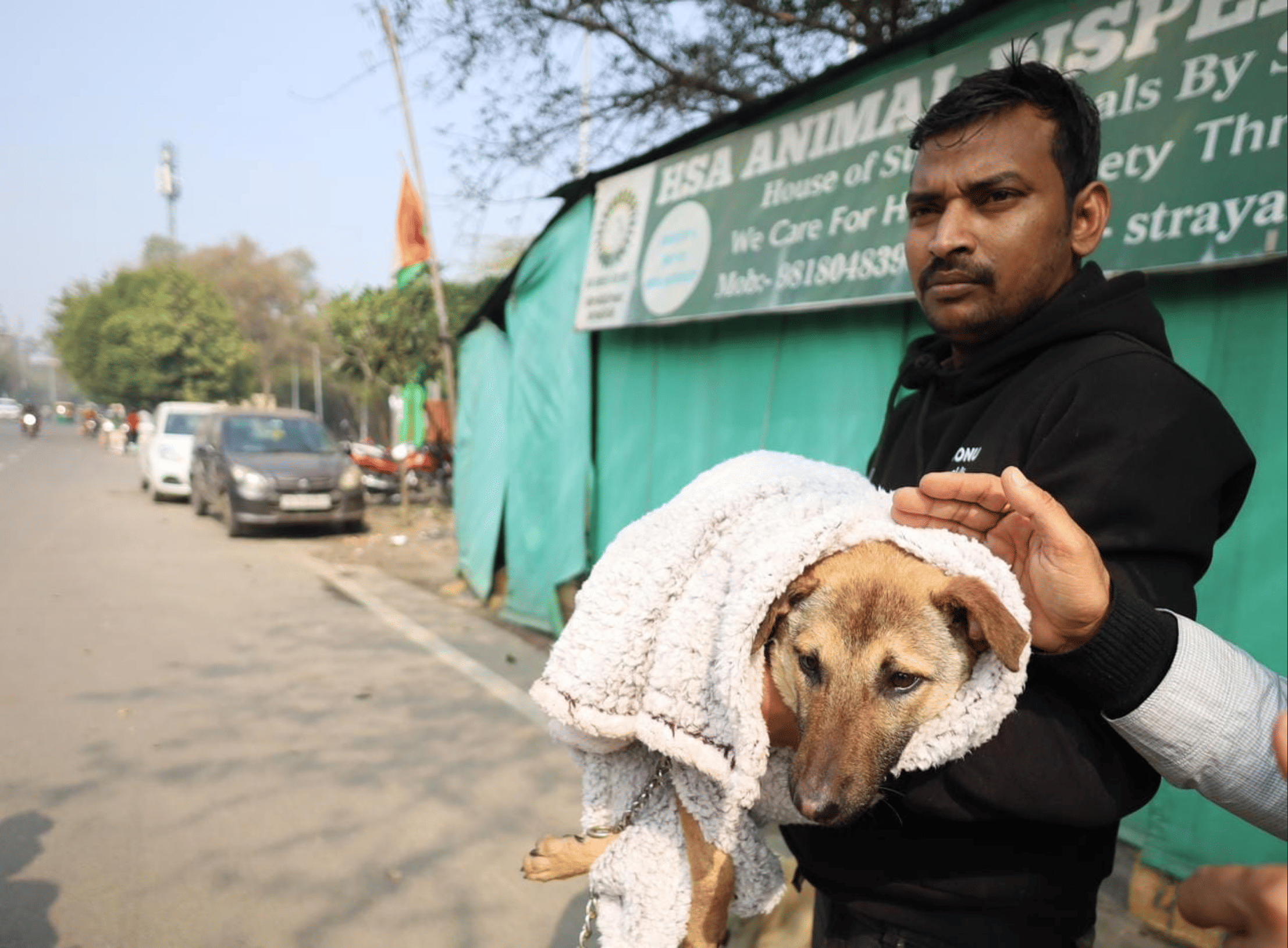 Bhairav, a stray dog from Nandpur village in Uttar Pradesh’s Bijnor district who drew crowds after repeatedly circling a Hanuman idol at a local temple, outside an animal shelter in Noida before being taken back to his village following medical treatment | Manisha Mondal | ThePrint