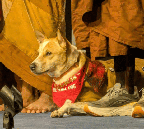 Aloka with his companion monks | Instagram