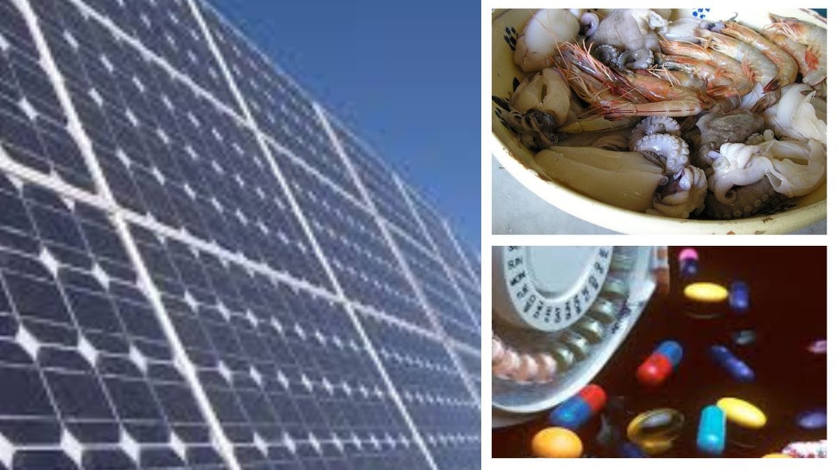 Union Budget: Cancer drugs & solar panels set to get cheaper; seafood exporters to benefit