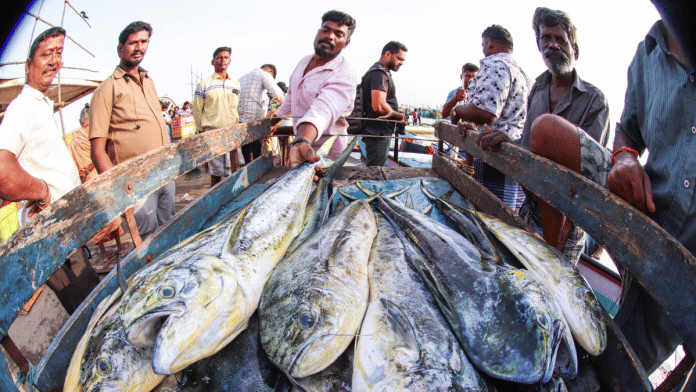Fishermen arrive with their first catch at Kashimendu fish market in Chennai | ANI File
