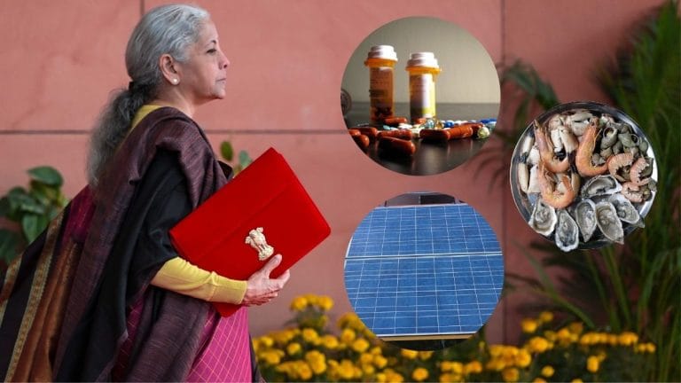 Union Budget: Cancer drugs & solar panels set to get cheaper; seafood exporters to benefit