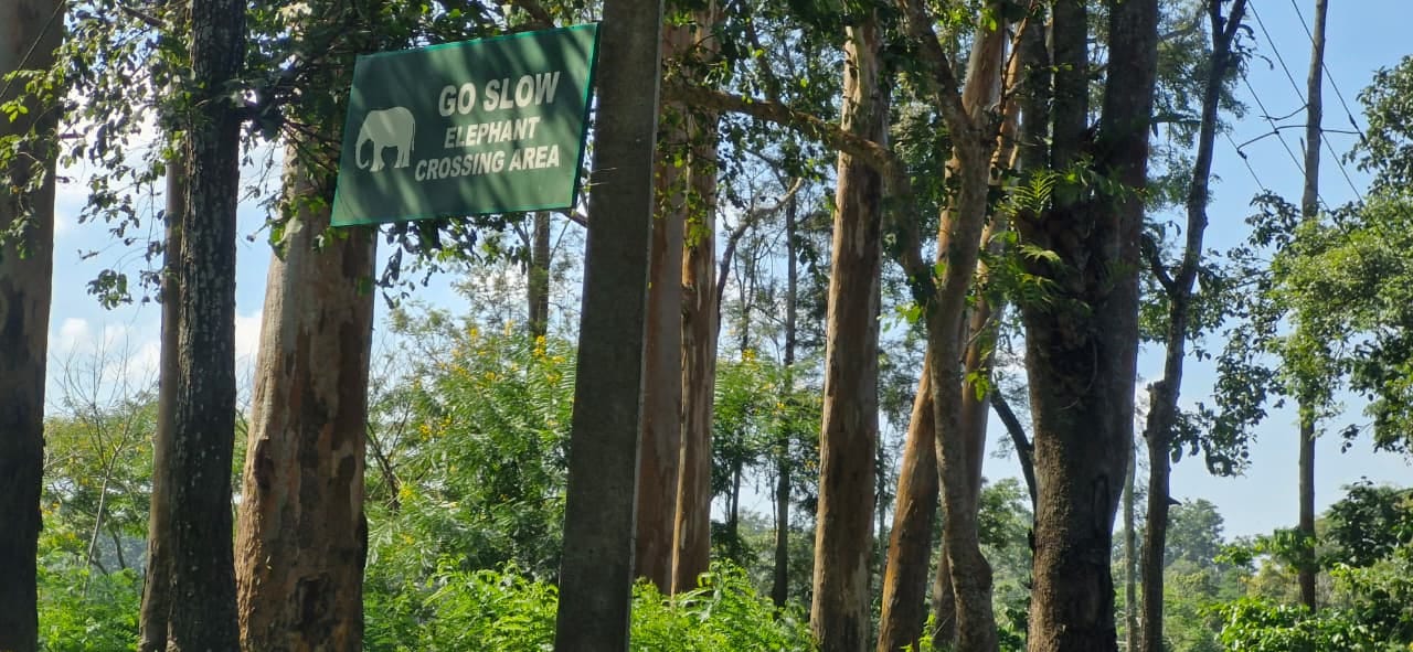 In 2009, the Karnataka govt imposed 9pm-6am ban on movement of private vehicles, citing reasons such as fragile ecosystem, human-animal conflicts. | By Sharan Poovanna/ThePrint