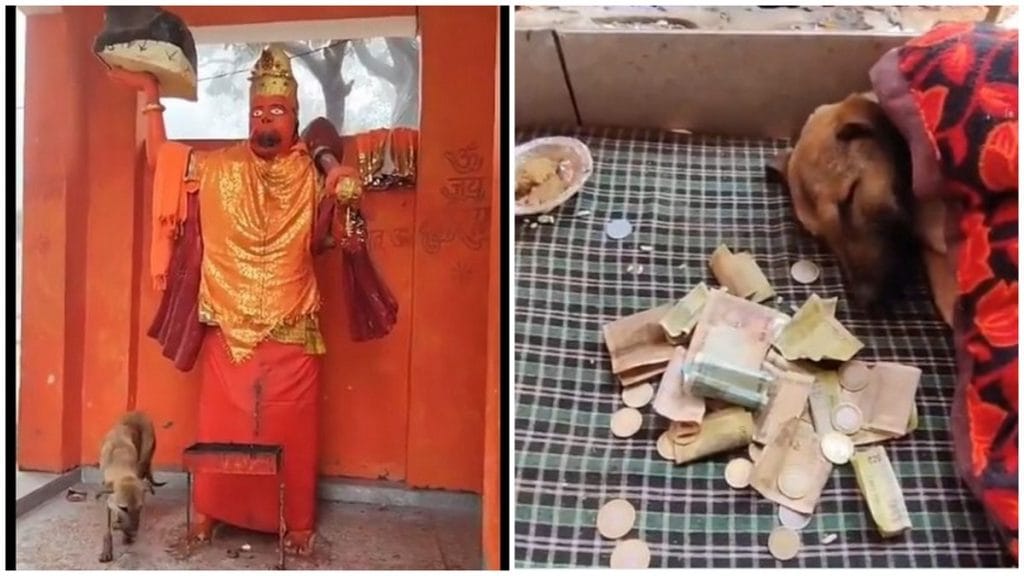 Bijnor dog parikrama