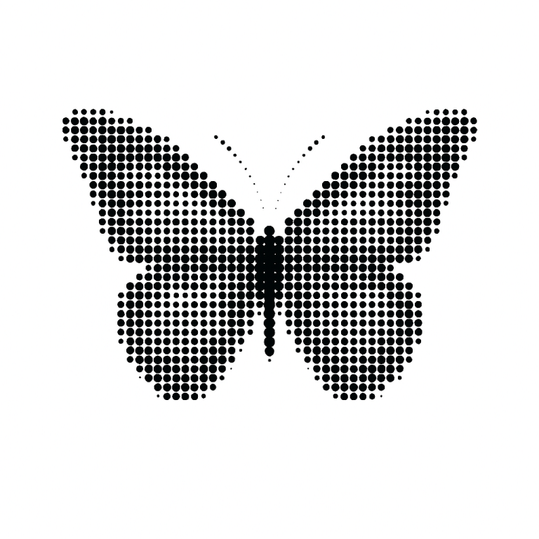 SubscriberWrites: The Butterfly Effect in Action: Claude AI’s Influence on Indian IT Stock Performance