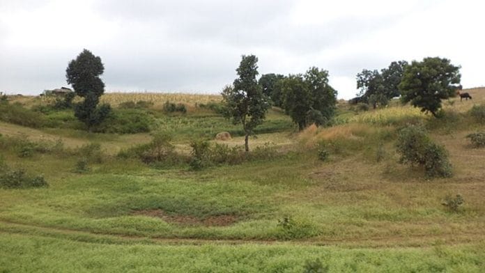 Grassland in Madhya Pradesh | Wikimedia Commons