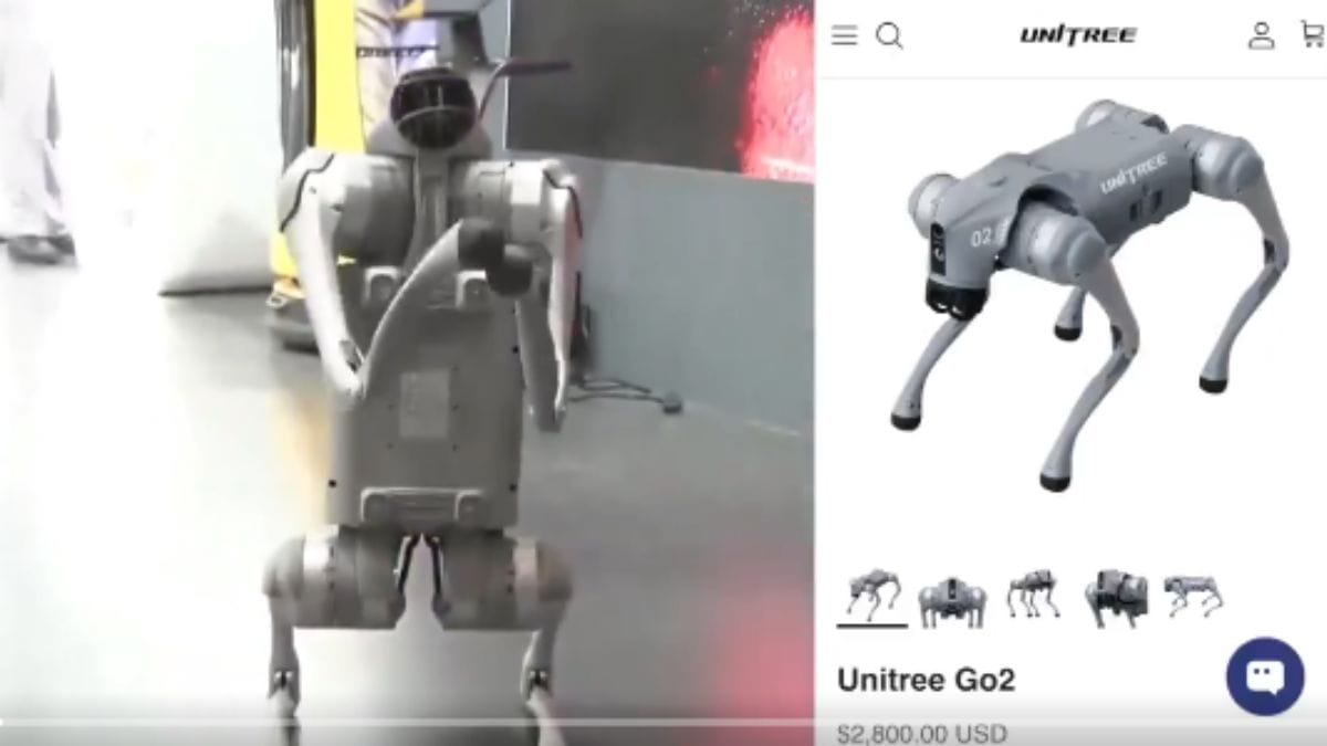 PETA India seeks Galgotias University’s robo-dog as donation to replace animals in circus