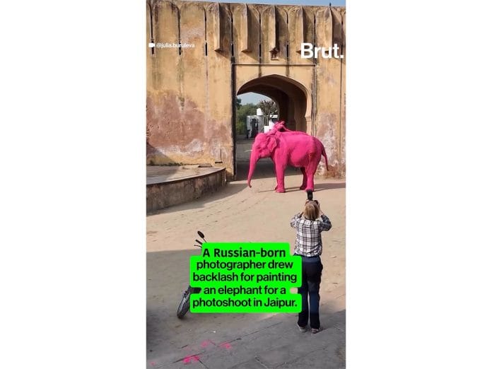 Spare Human Whims on wild Animals, Says World Animal Protection