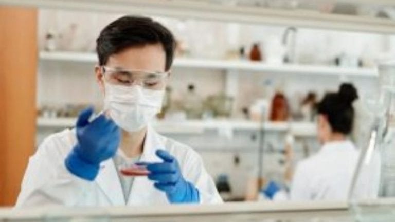 Rs 325–4,200/month: Dr Reddy’s, Sun Pharma, Glenmark kick off generic semaglutide price war