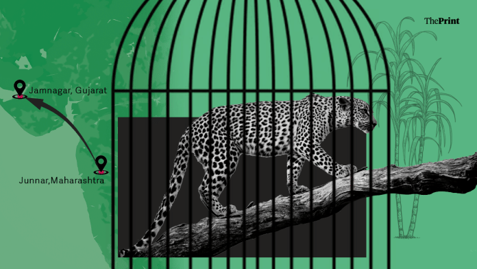 Featured image by Shruti Naithani | ThePrint