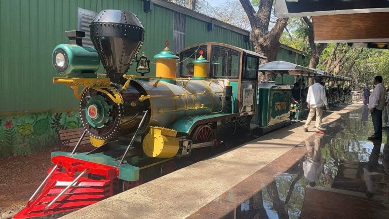 Queen of the forest, greener than ever: Van Rani brings Mumbai’s wild heart back on track