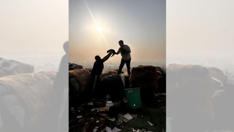 Photos of the Week: Dumpyard puppy rescues & dried up tulip beds