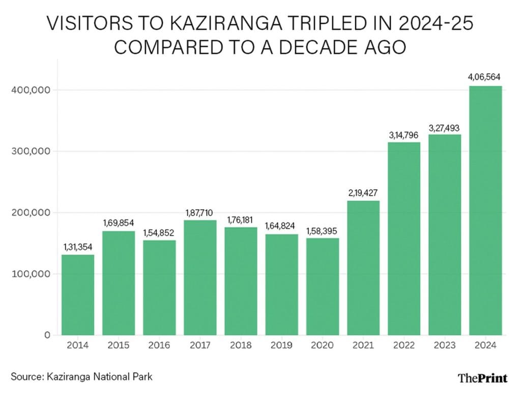 Kaziranga tourists increase 