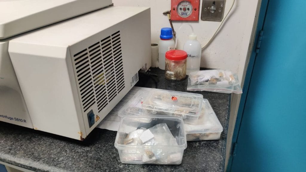 DNA samples are stored in air tight bags and containers to avoid contamination | Akanksha Mishra, ThePrint