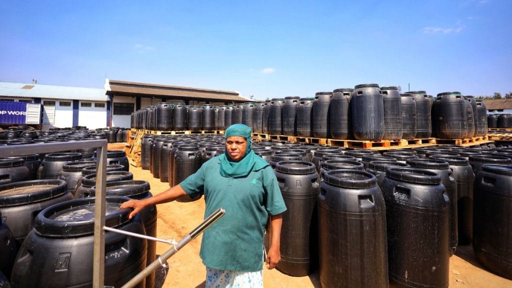 Barrels of gherkins ready for transport. Manisha Mondal | ThePrint