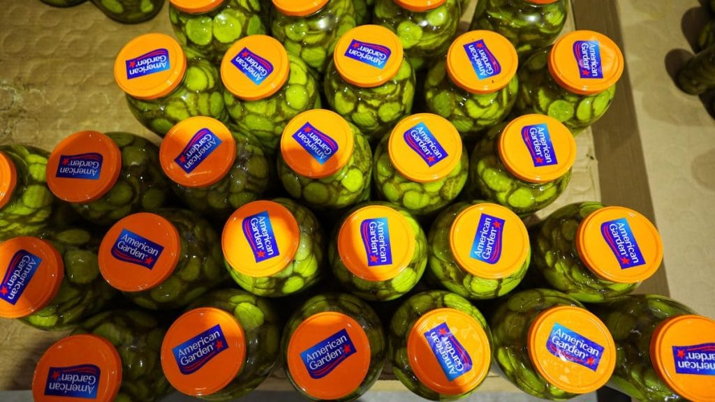 Gherkins packed for "American Garden" ready for export. Manisha Mondal | ThePrint
