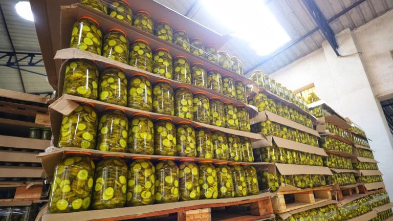 Grown in Karnataka, sold as American — Inside India’s gherkin empire