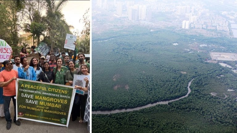 45,000 mangroves at stake: Actors, activists rally as courts clear decks for Mumbai coastal road project