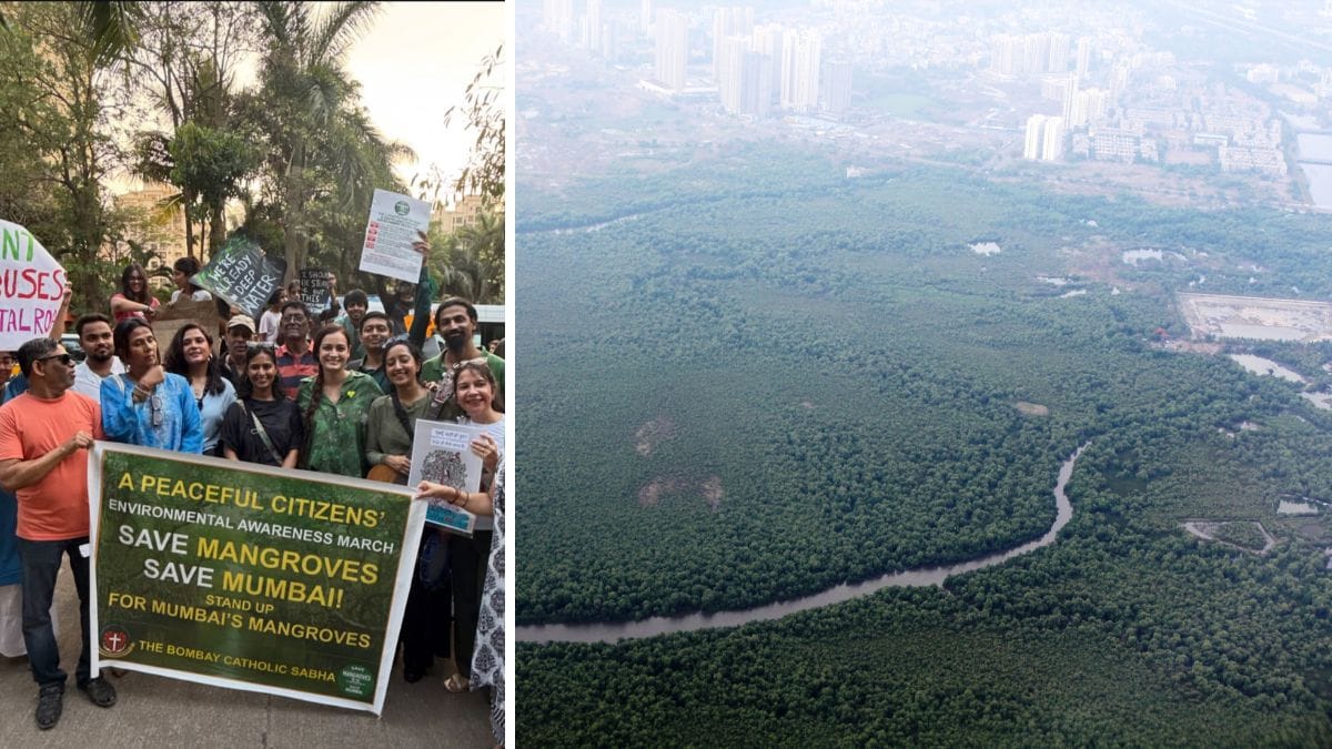 45,000 mangroves at stake: Actors, activists rally as courts clear decks for Mumbai coastal road project