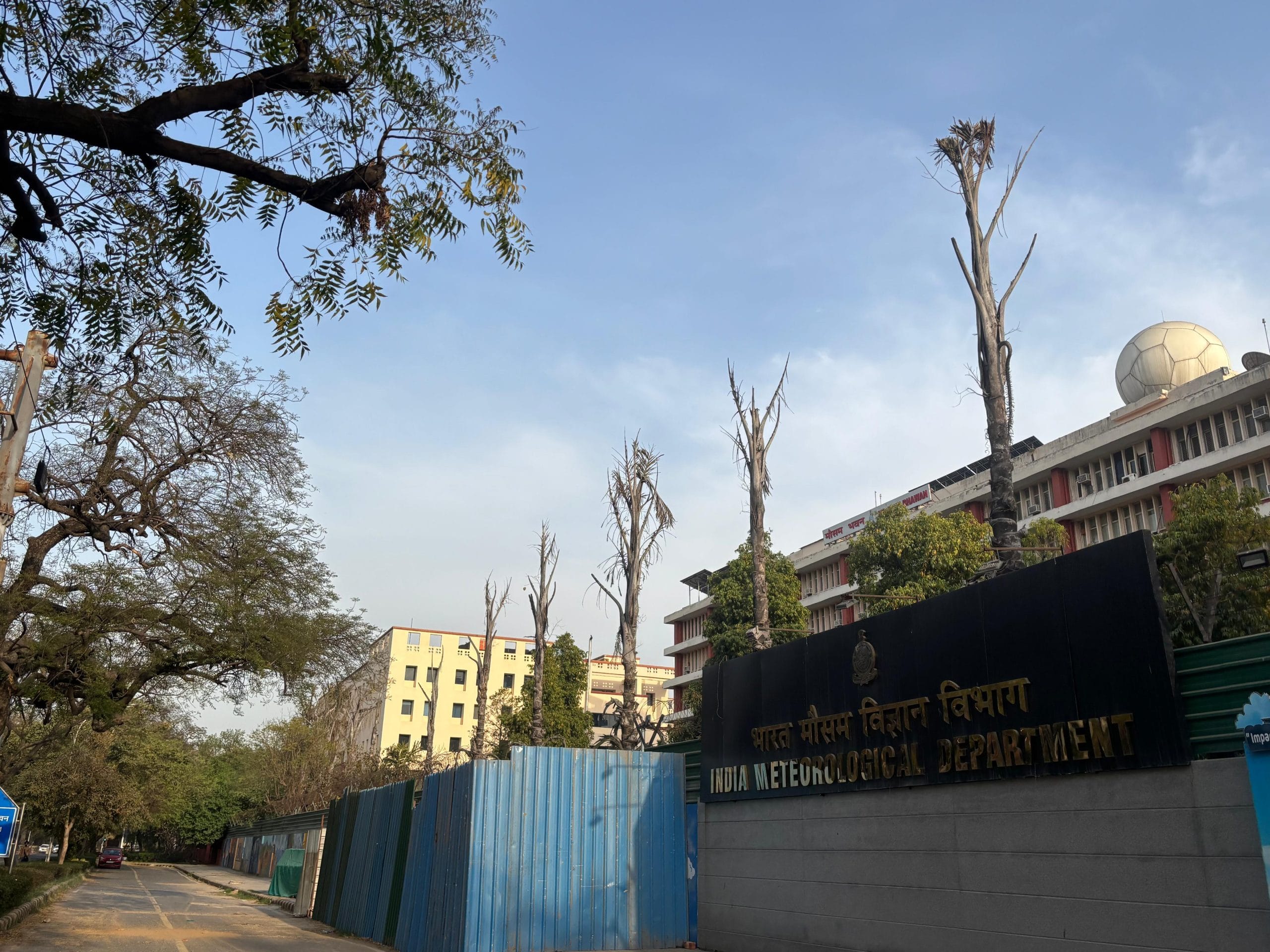 A row of dried and dying palm trees outside the Indian Meteorological Department | Vitasta Kaul, ThePrint