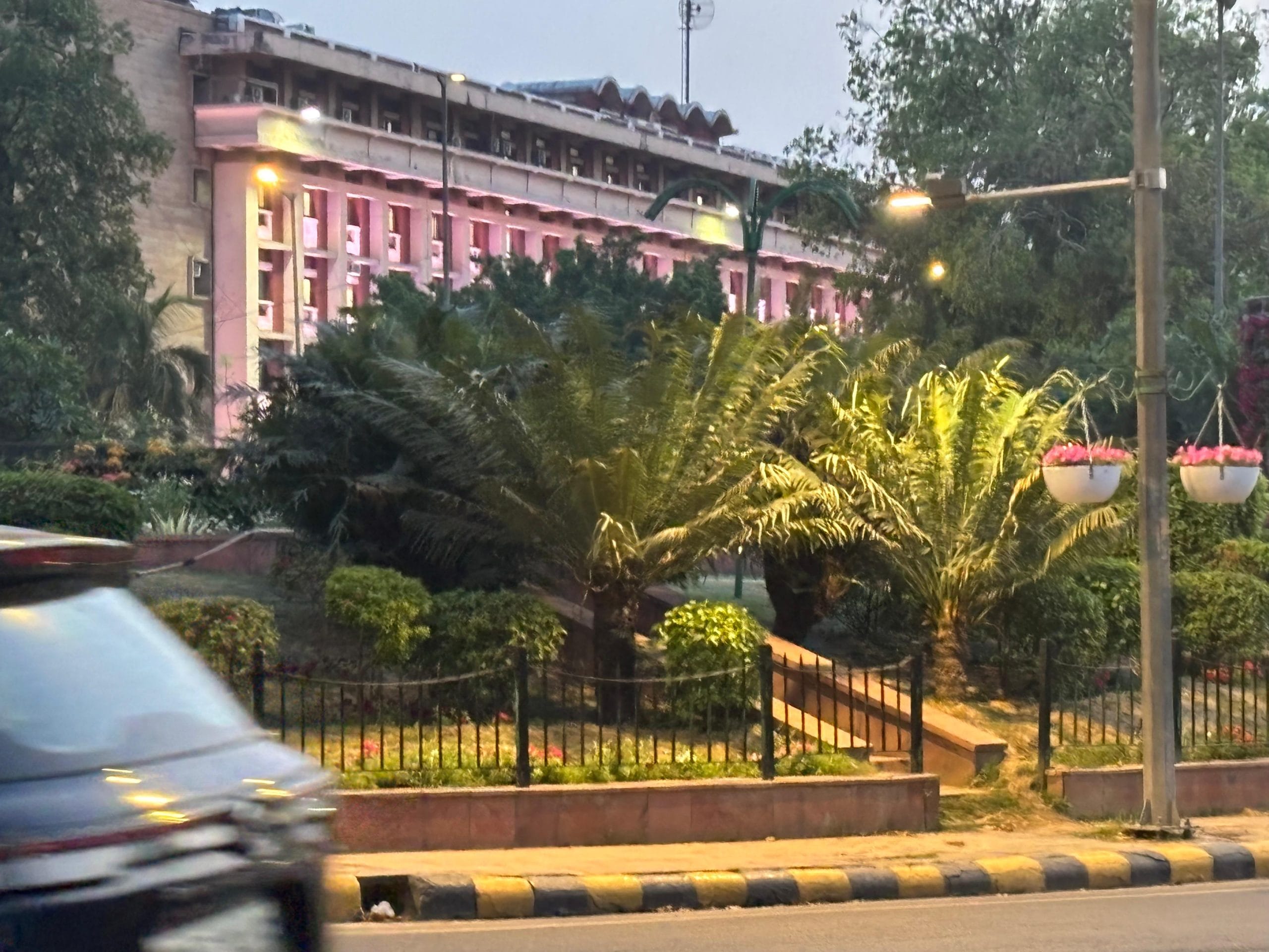 Palms at a roundabout in New Delhi | Vitasta Kaul, ThePrint