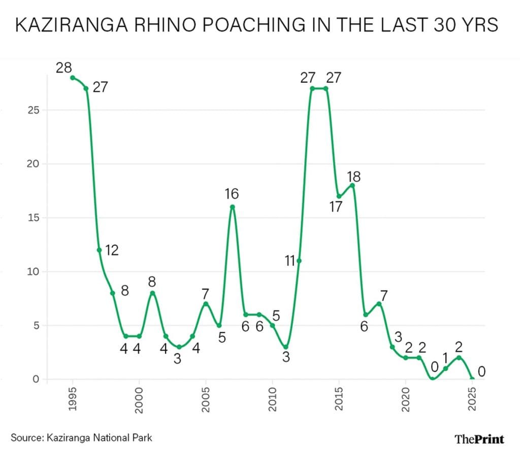 Kaziranga rhino poaching 