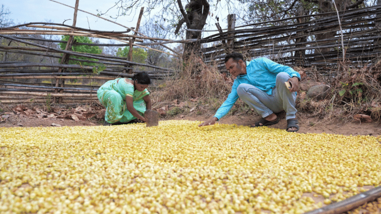 Photos of the week: Gadchiroli’s reformed Maoists, doggies on vacay & Delhi’s lady bouncers