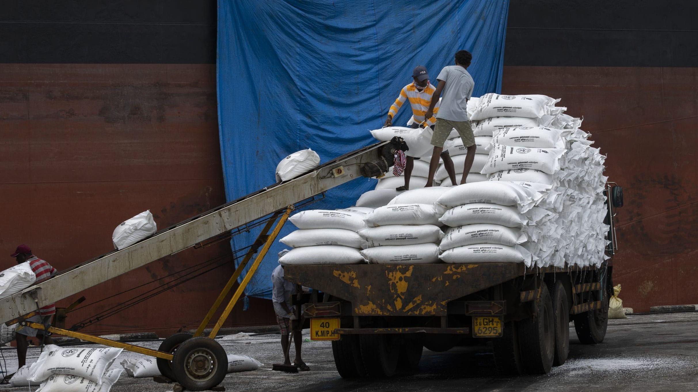 India fertiliser offers sink in sign of easing supply strain