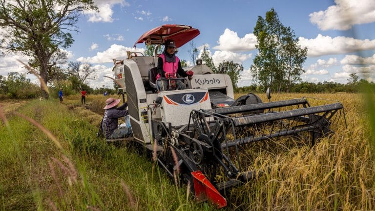 Fuel shock hits Asia’s rice bowl as farmers cut planting