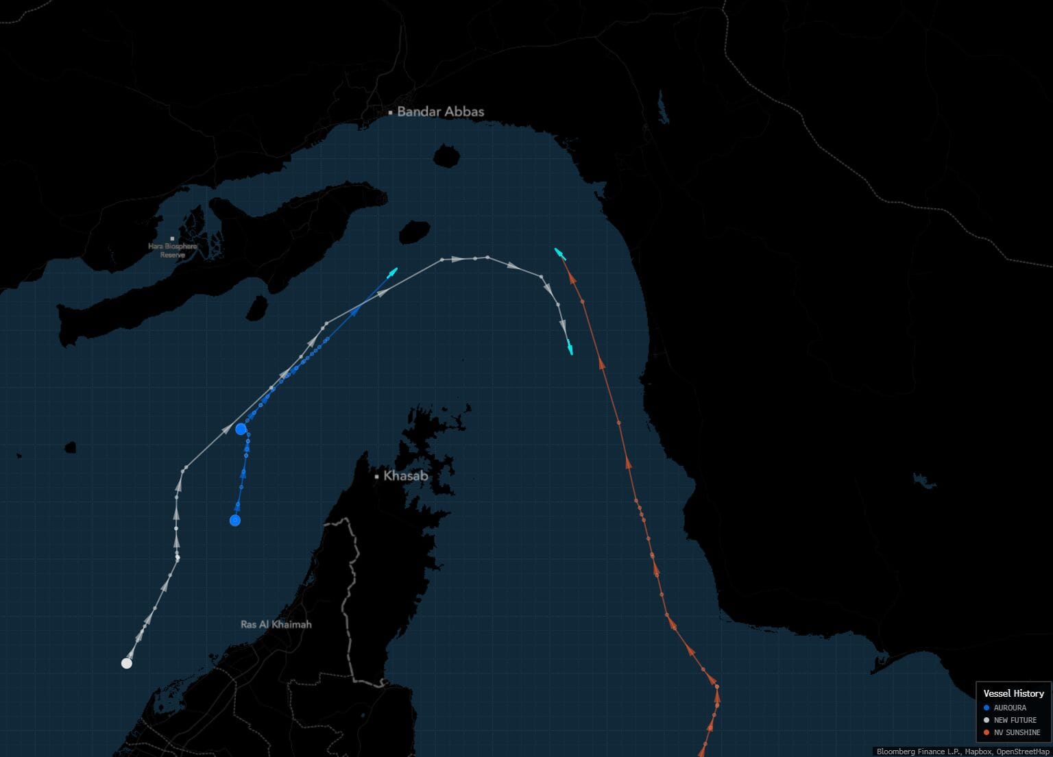 The New Future (in white) and Auroura (blue) appear to be attempting a transit through the Strait of Hormuz just south of Irans Larak island. NV Sunshine (orange) is approaching from the opposite side.