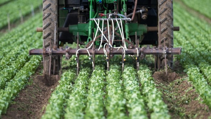 Nitrogen fertilizer is added to a field of lettuce in California. Photographer: Nic Coury/Bloomberg