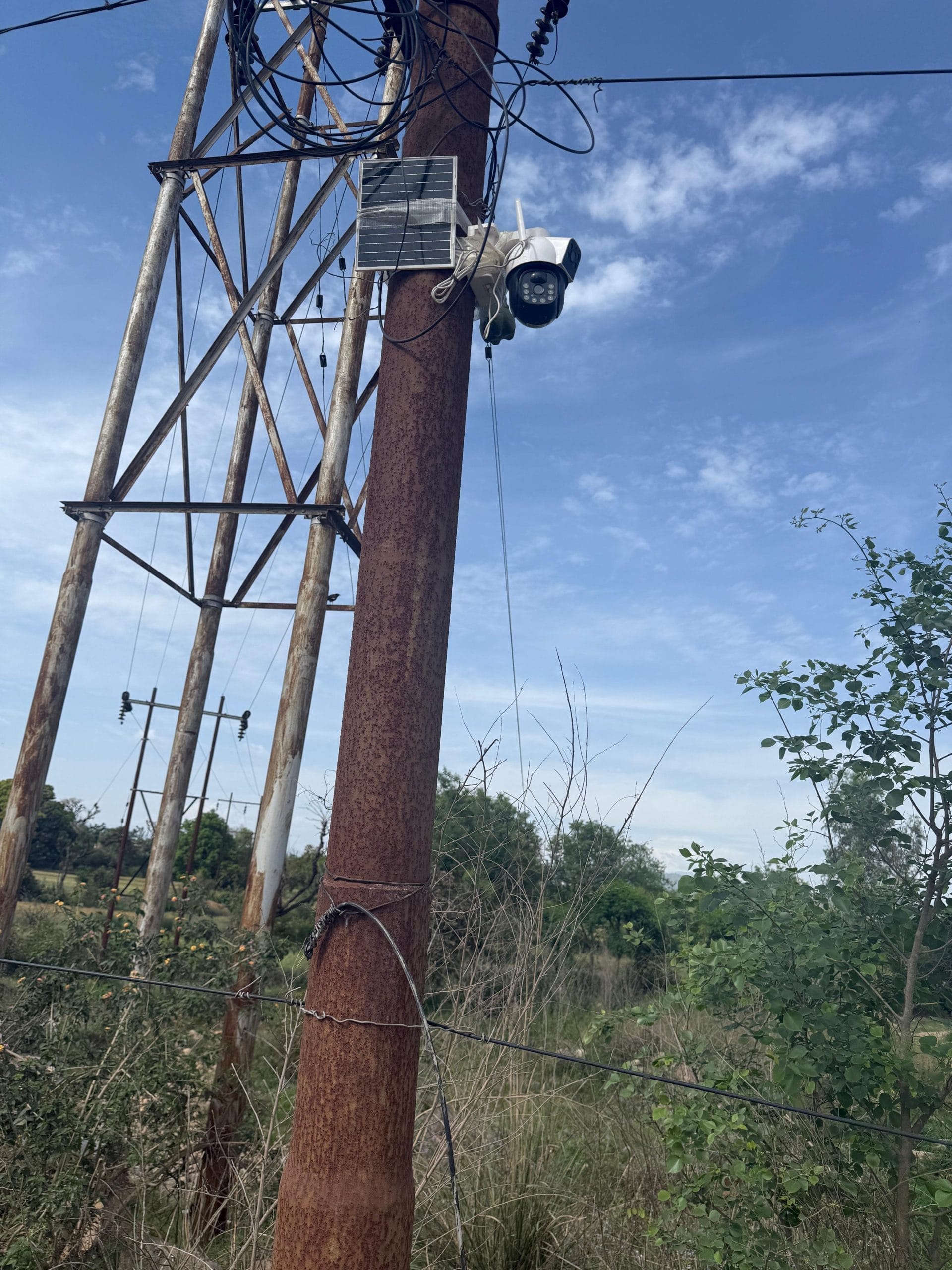 Solar-based cameras using 4G are readily available on e-commerce websites for Rs 2,000-9,000 | By special arrangement