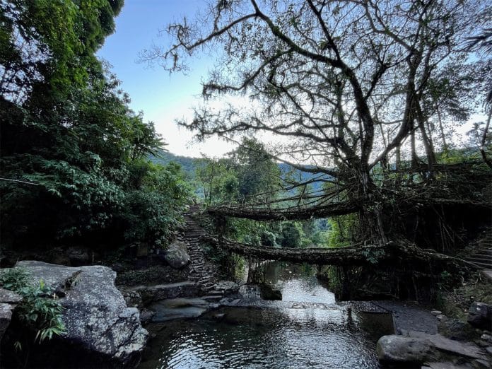 Muddie Trails Crosses 50,000 Travelers and Opens New Journeys into Tawang and Meghalaya