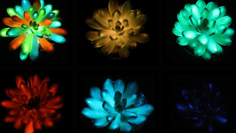 Chinese scientists develop glow-in-the-dark plants. Avatar world now possible