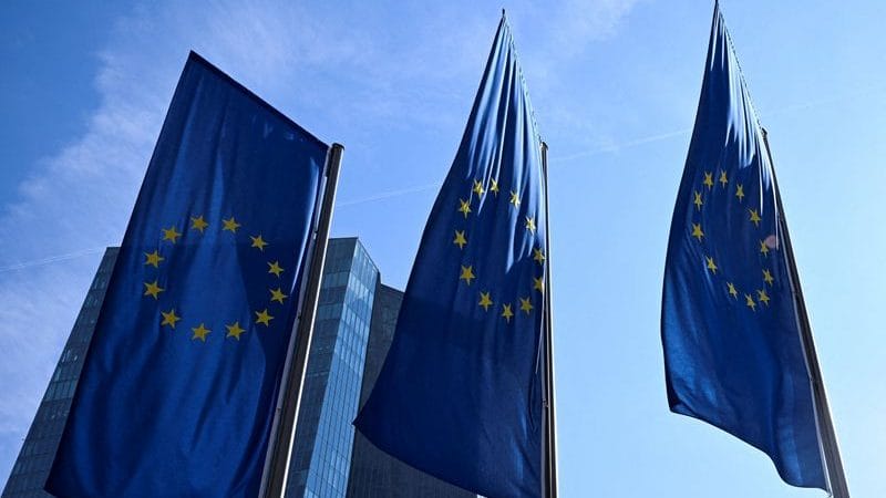 EU leaders to discuss mutual defence clause amid Trump’s NATO doubts