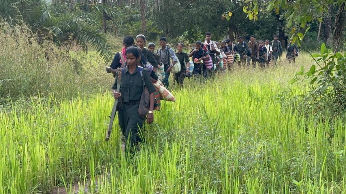Undated photo of Maoist cadres making their way through the dense jungles of Bastar to lay down arms and join the mainstream | By special arrangement