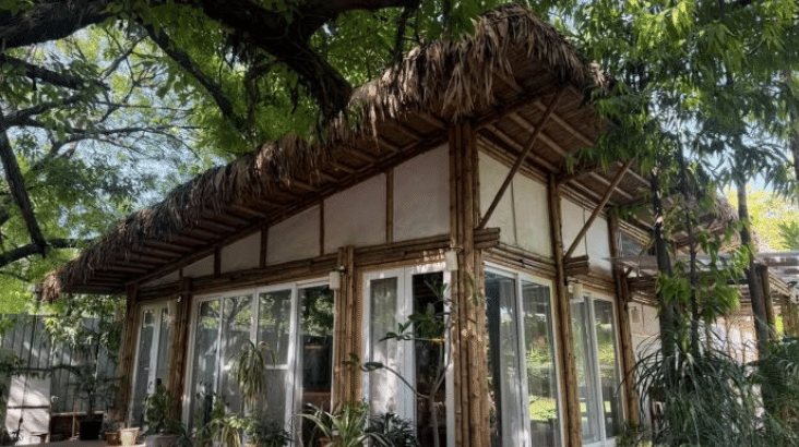 Delhi's Project Otenga is a glass-and-bamboo haven inside leafy Shaheed Park on Bahadur Shah Zafar Marg | Photo: Triya Gulati | ThePrint