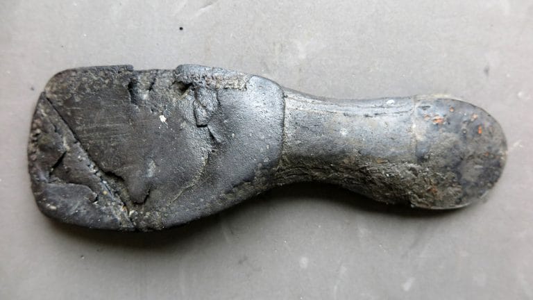 Danish warship ‘shot to pieces’ by Nelson’s fleet has just been found—bones, bottles, shoes