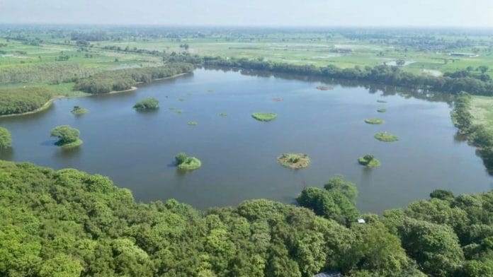 The Shekha Jheel Bird Sanctuary in Aligarh