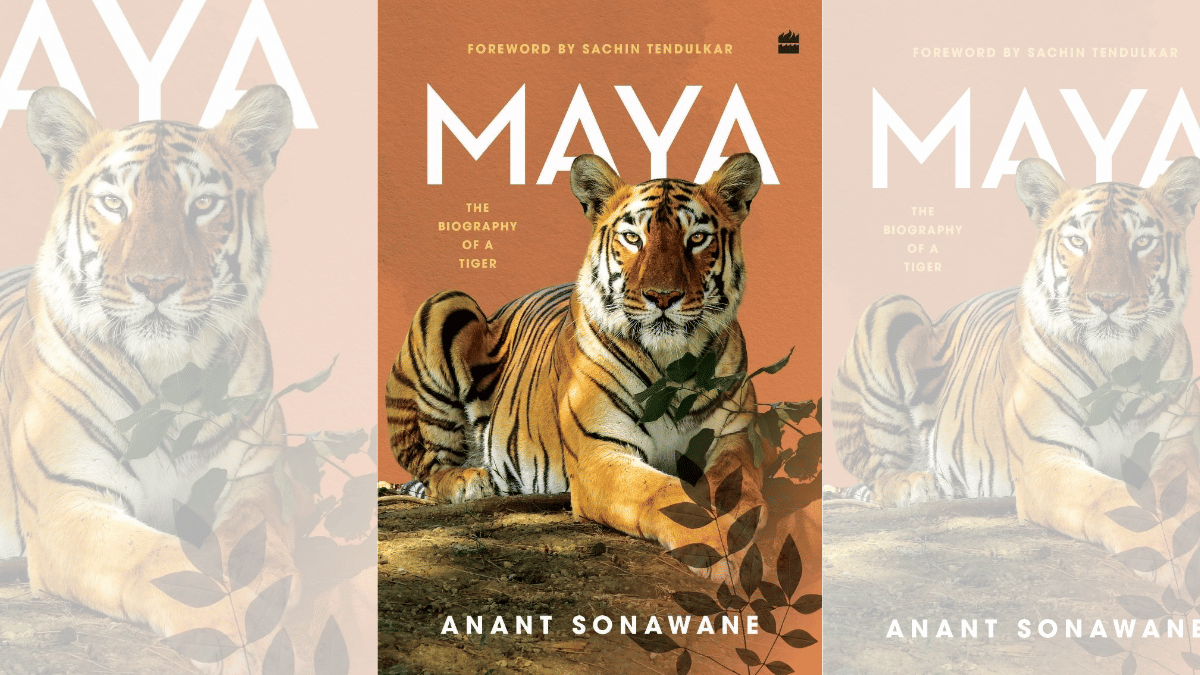New book traces life of Maya, tigress that became a national icon