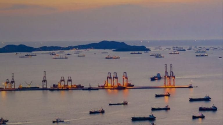 Customs waiver on petrochemicals to cost 1,800 cr in lost revenue; govt admits impact on other sectors