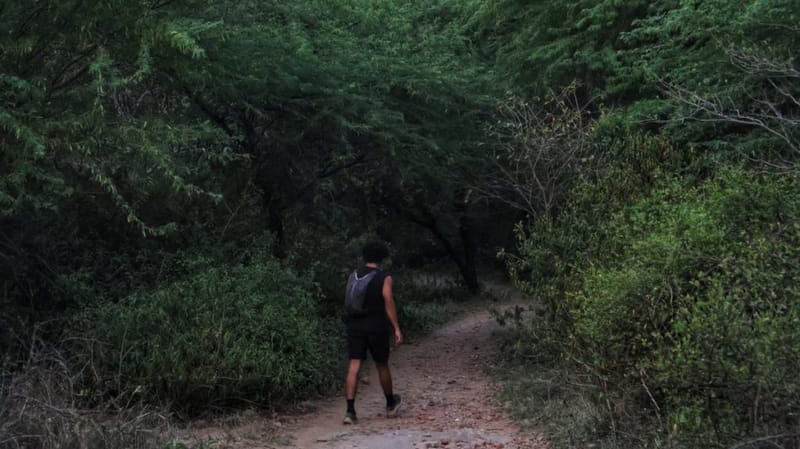 संजय वन प्यारा, अंधेरा और गहरा है, लेकिन विभु ग्रोवर कहते हैं कि अब यह बहुत ज़्यादा शोरगुल वाला भी है | फोटो: मनीषा मोंडल/दिप्रिंट