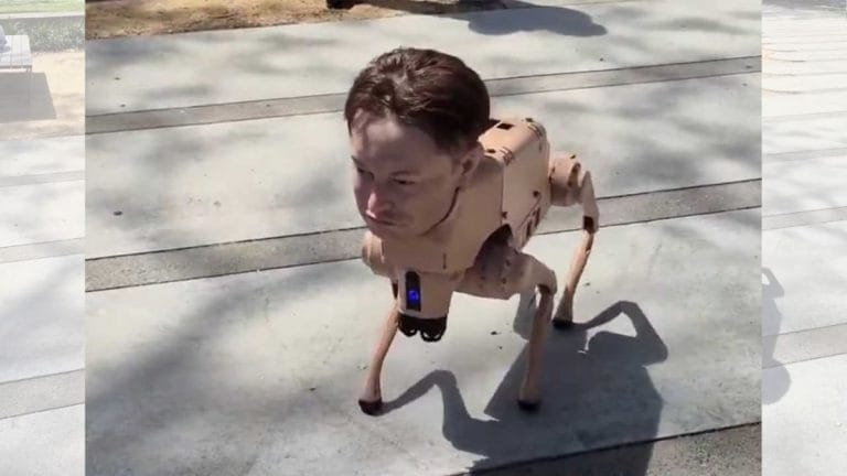 Why a robot dog with Elon Musk’s head is roaming the streets of San Francisco