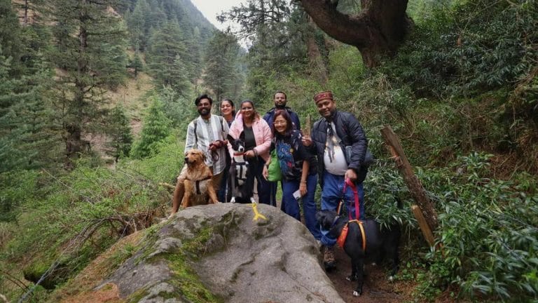 A dog’s day out — how a labrador, indie, and retriever spent their Manali vacation