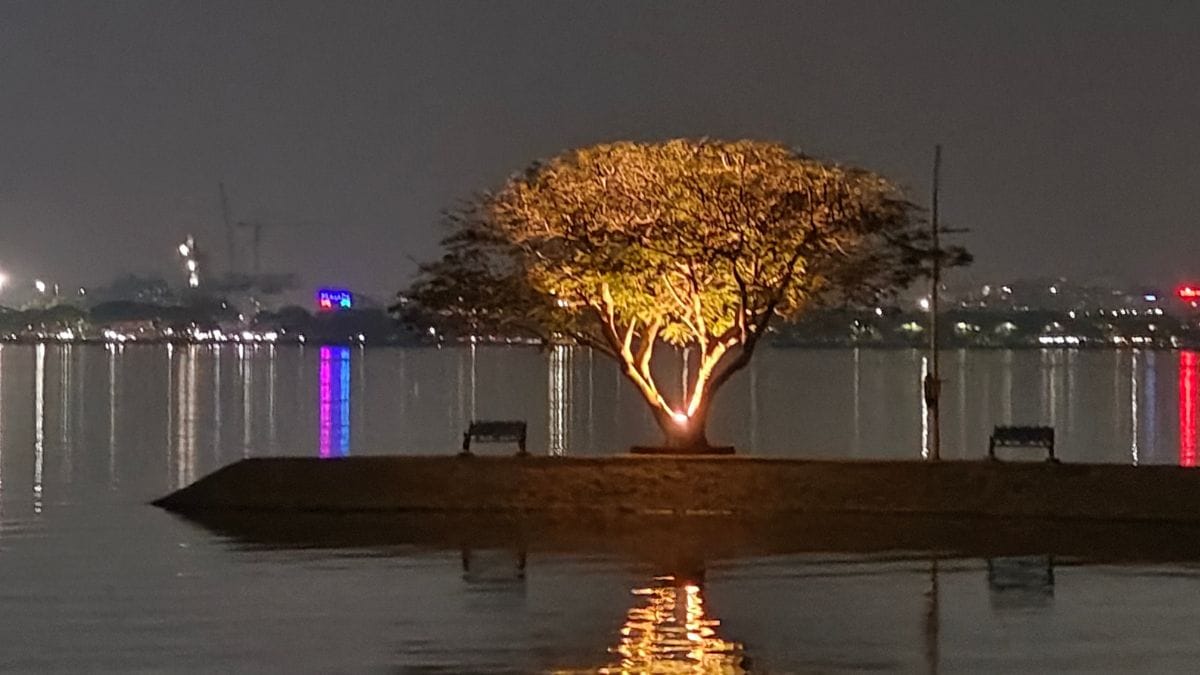 A lone tree glows along the edge of Hussain Sagar lake in Hyderabad | Photo: Yunus Lasania | ThePrint