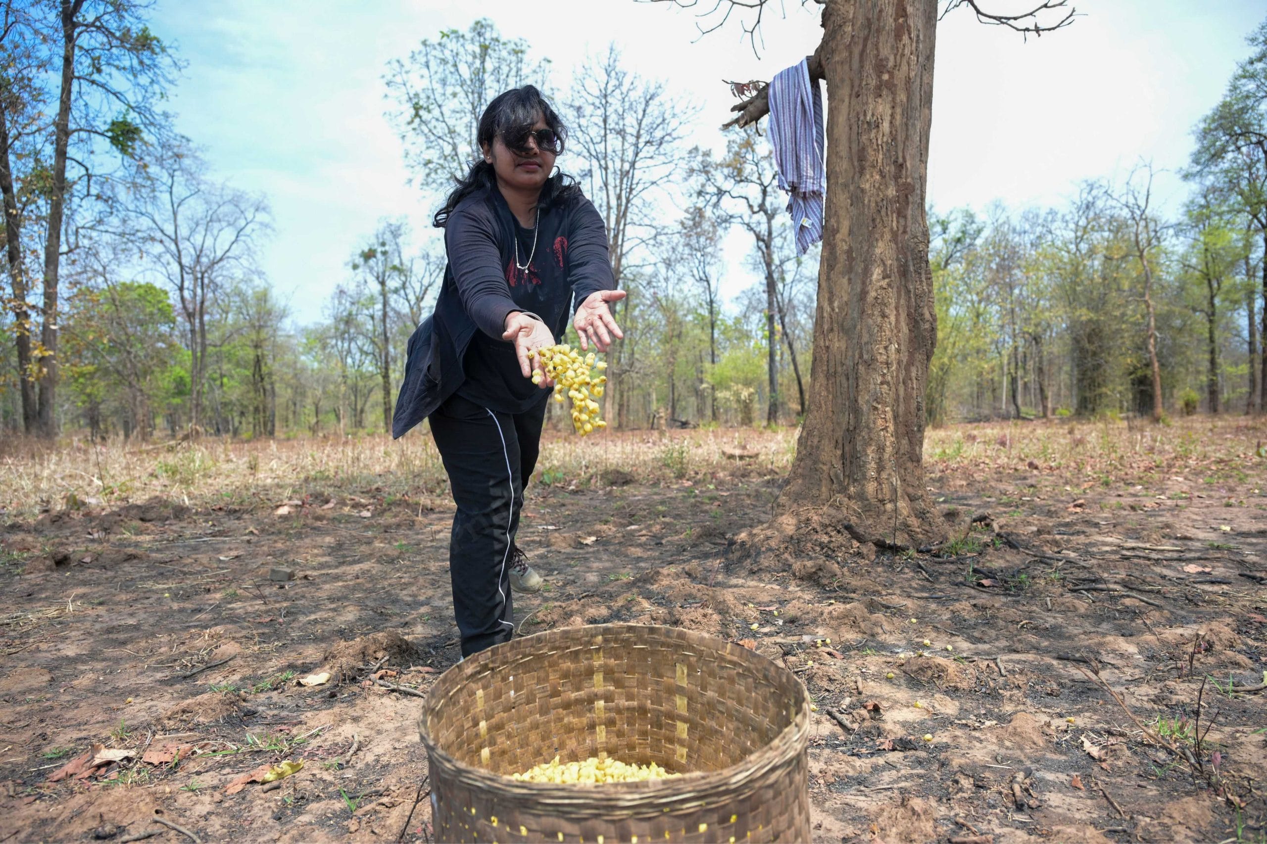 जनीता जाड़े, जिन्हें माओवादी संगठन में अंजू कहा जाता था, गुरेकासा गांव में महुआ के फूल इकट्ठा करती हुई | फोटो: सूरज सिंह बिष्ट/दिप्रिंट